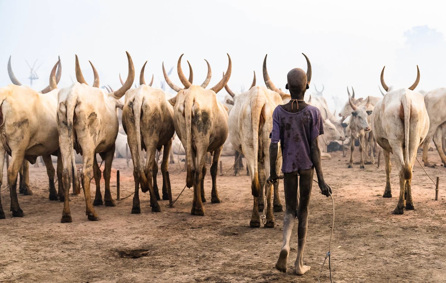Young Mundari boy herding cattle in South Sudan