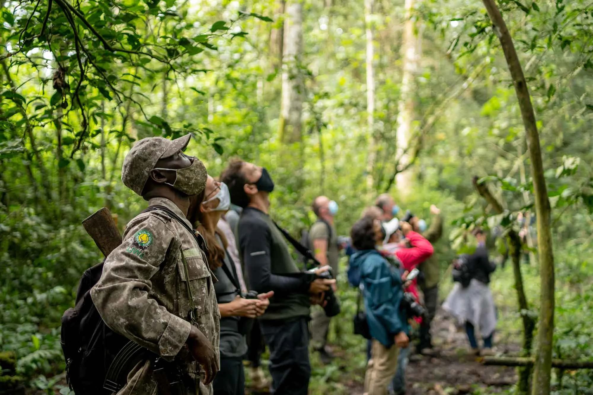 Kibale National Park