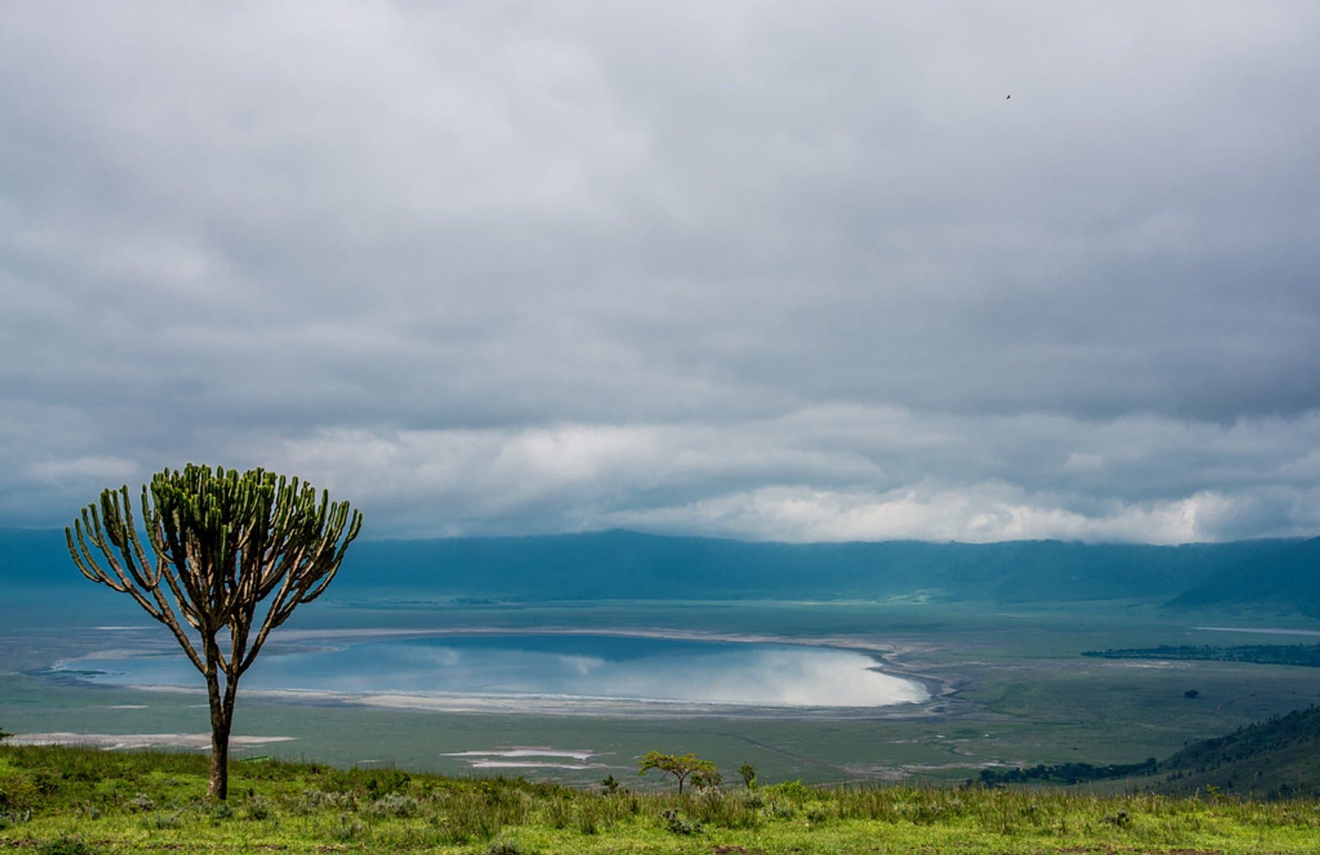 Ngorongoro Crater