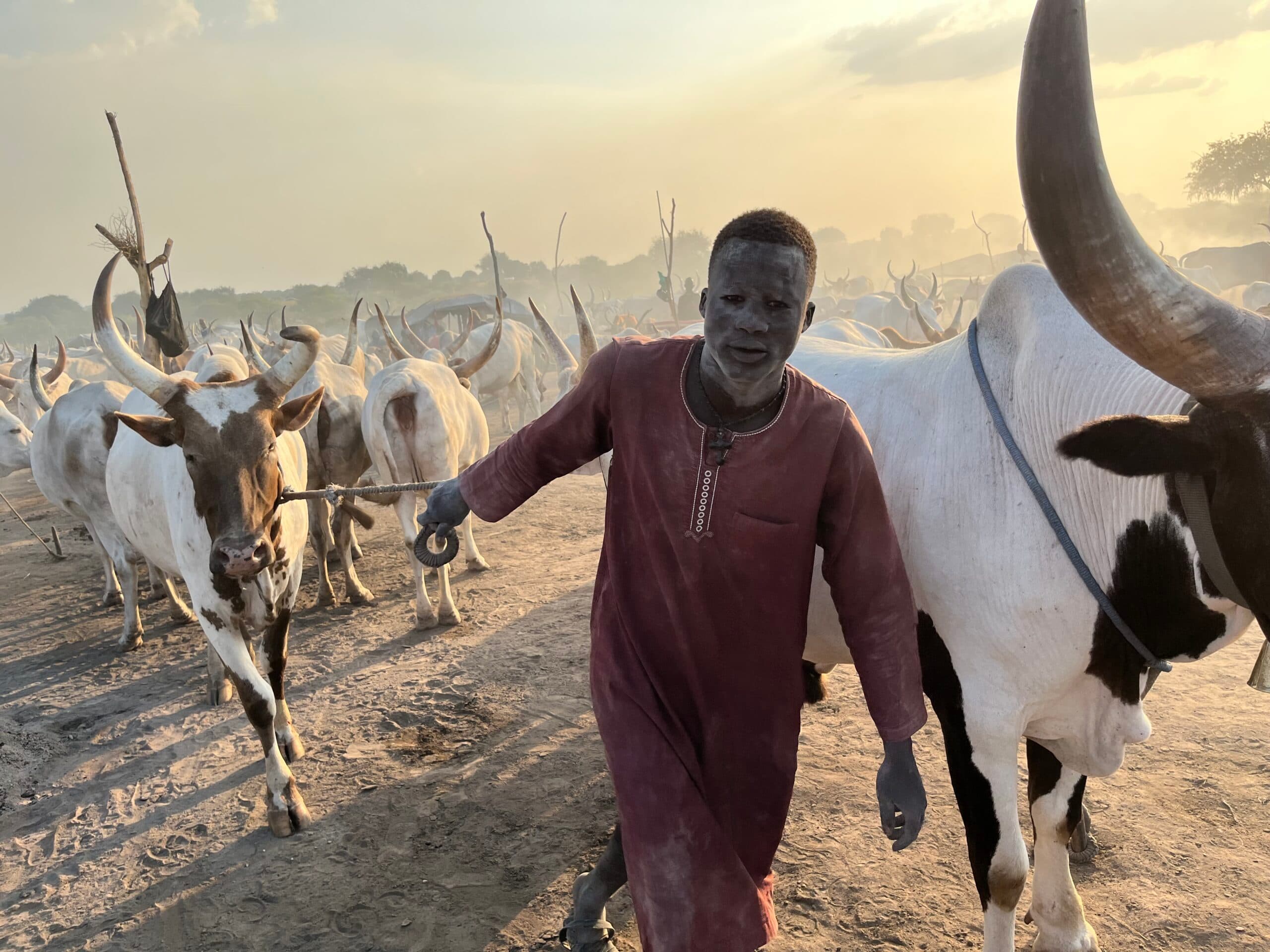 5-Day South Sudan Tour – Mundari Cattle Camp