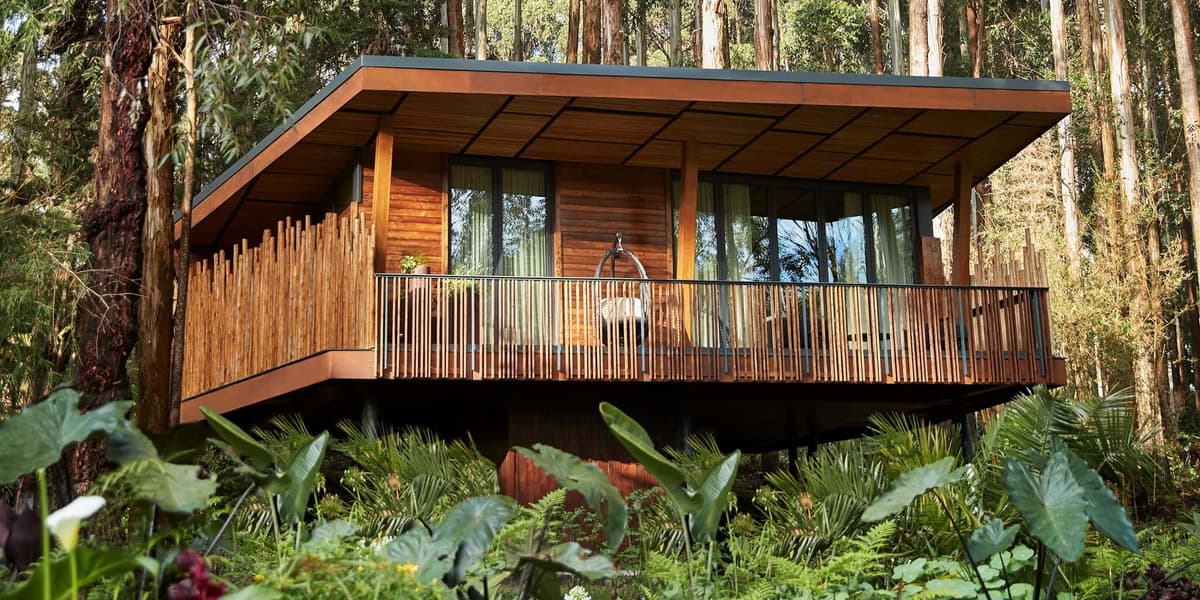 Luxury Rwanda Safari