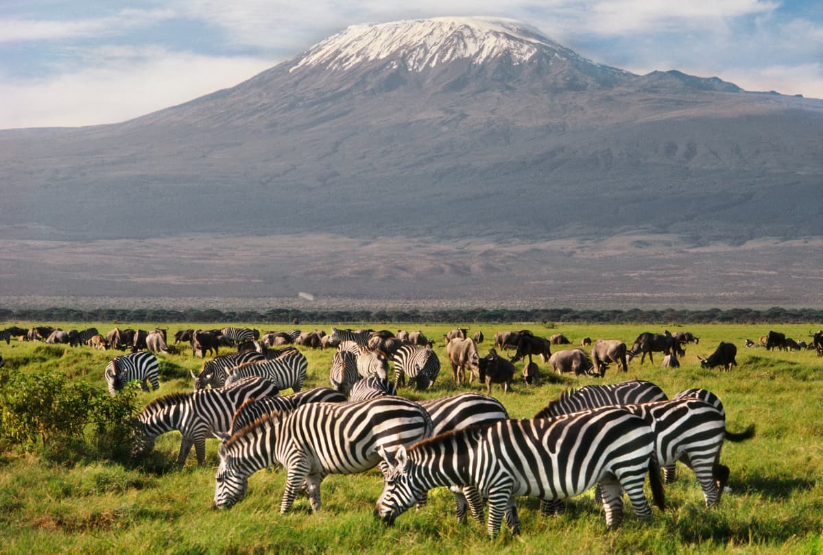 Ultimate Kenya Safari
