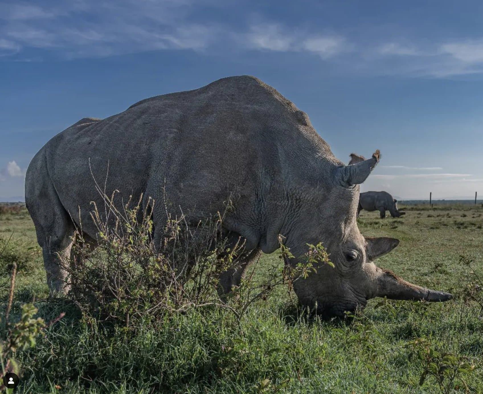 7-Day Kenya Lodge Safari