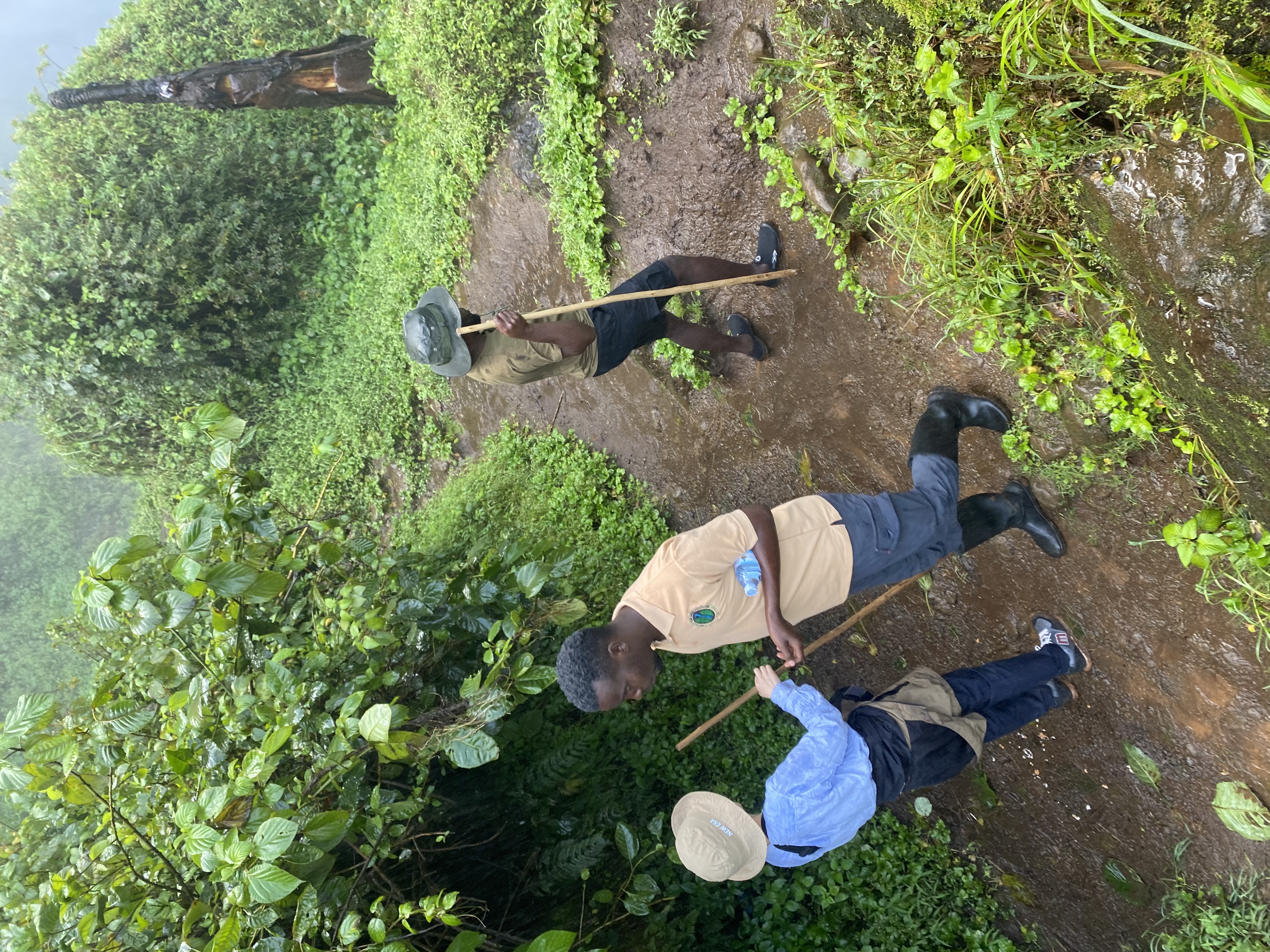 Conservation work