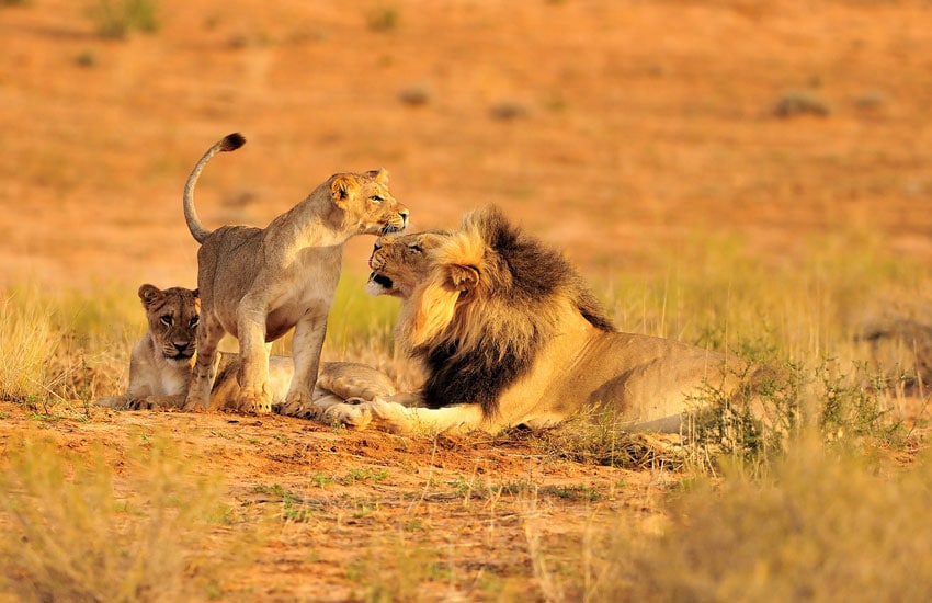 Queen Elizabeth National Park