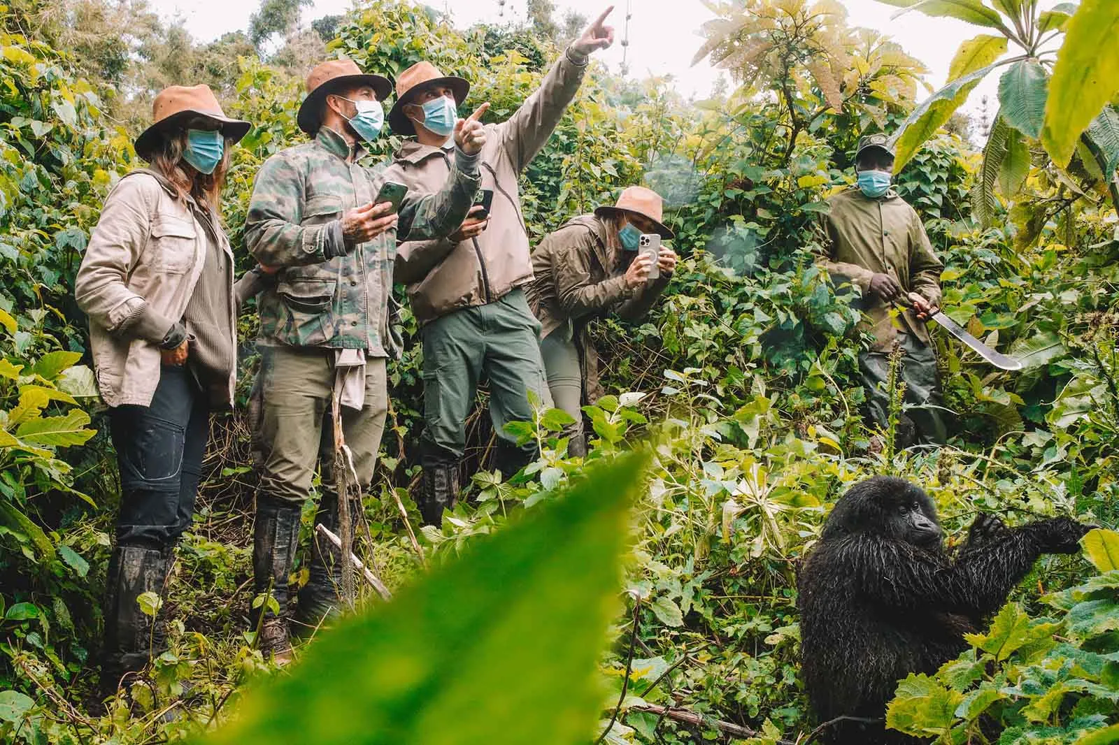 Gorilla Trekking in Uganda